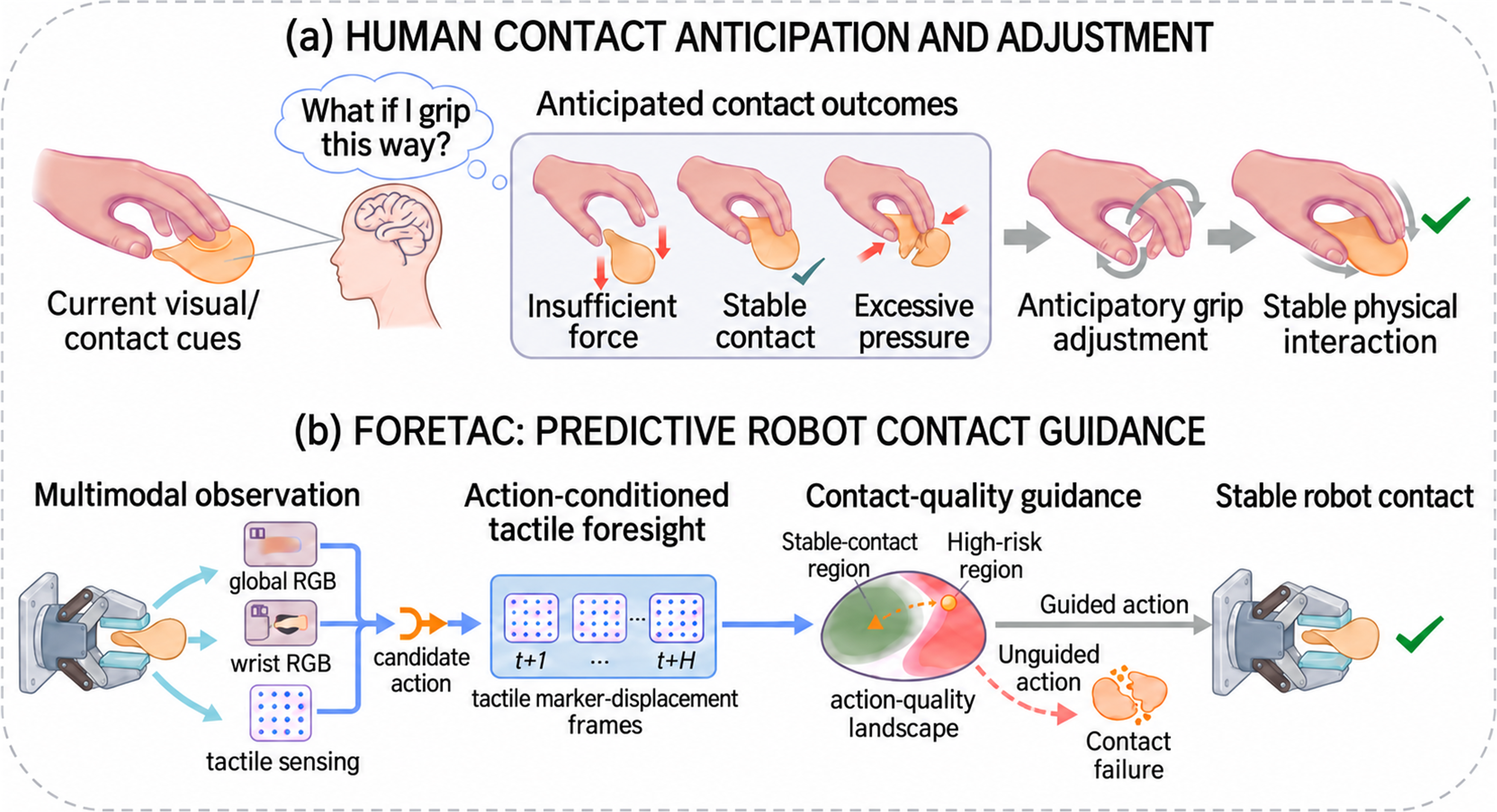 Conceptual illustration of human anticipatory contact adjustment and ForeTac predictive robot contact guidance
